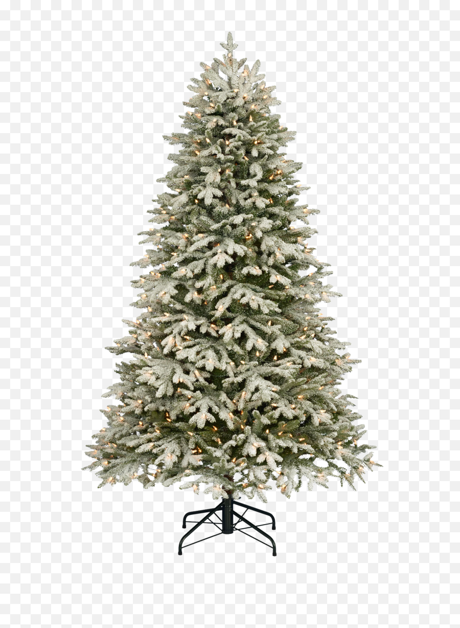 Christmas Tree With Snow Png Image - Different Types Of Christmas Trees,Christmas Snow Png