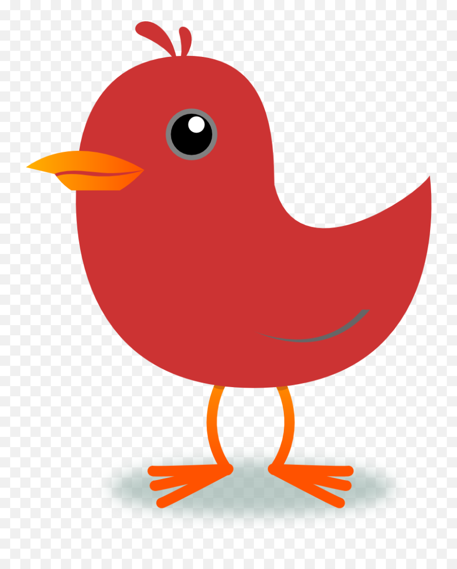 Free Twitter Bird Transparent Background Download Clip - Red Bird Clipart Png,Twitter Bird Transparent