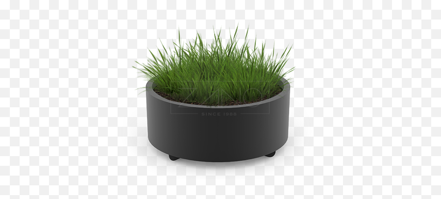Planters - Sweet Grass Png,Planter Png