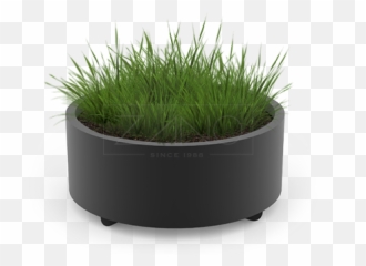 Planters - Sweet Grass Png,Planter Png