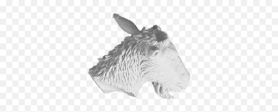 Mierce Miniatures - The Terror Of Fortriu Goat Head Boar Png,Goat Head Png