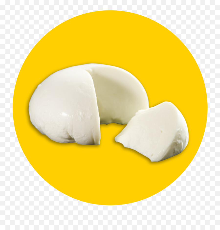 Saycheezeplz - Bavarian Cream Png,Cheese Png
