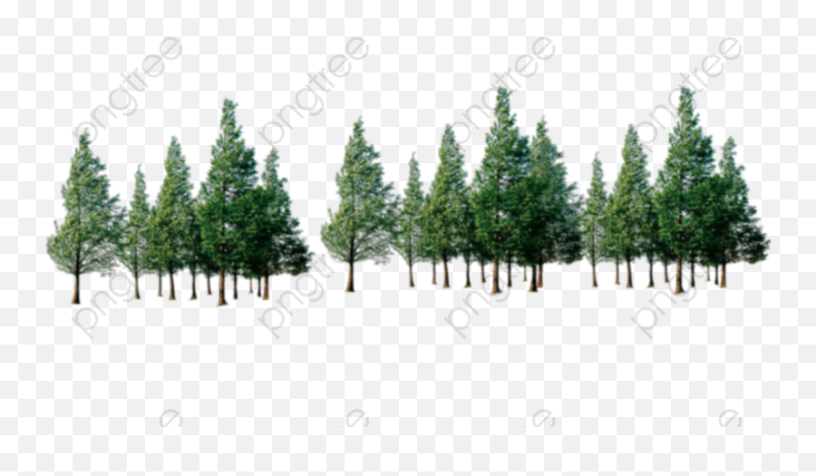 Trees Forest Row Png Transparent - Trees Png,Transparent Trees