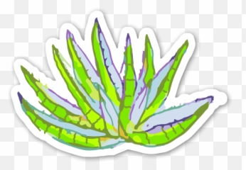 Aloe Vera - Clip Art Png,Aloe Vera Png