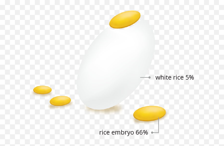 Sunaturalrice Embryohan Rice Embryovitality Plus - Dot Png,Embryo Png