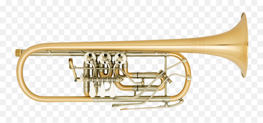 Bb - Concert Trumpet Trumpet Types Of Trombone Bb Trumpet Png,Trombone Transparent