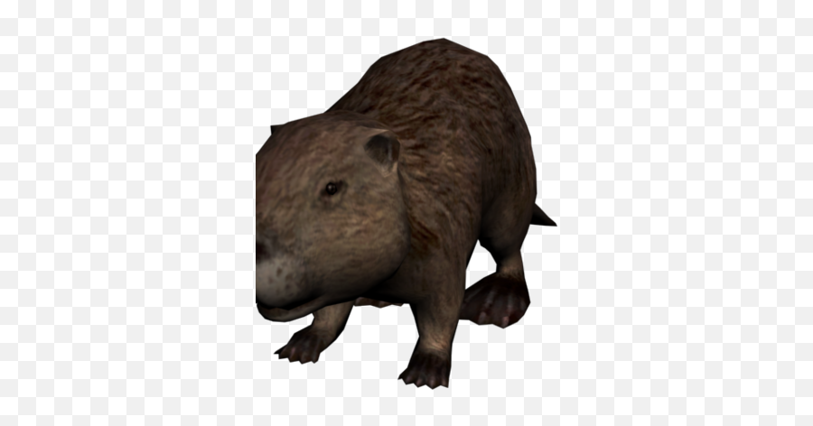 Beaver Red Dead Wiki Fandom - Beaver Red Dead Png,Beaver Transparent