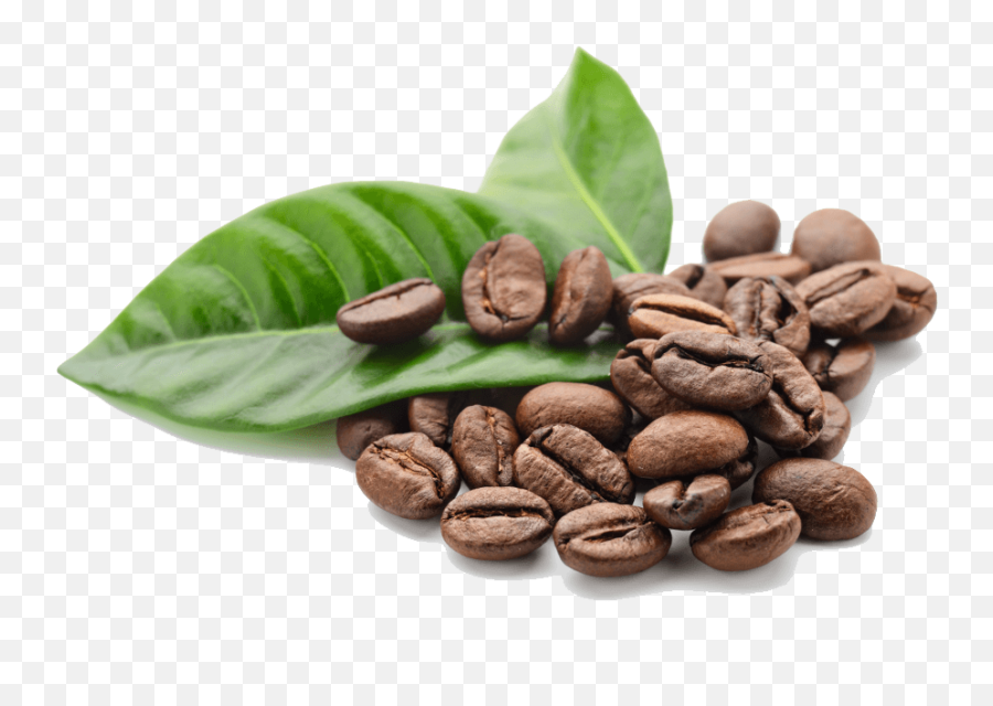 Coffee Beans Leaves Transparent Png - Coffee Bean Png Transparent,Beans Png