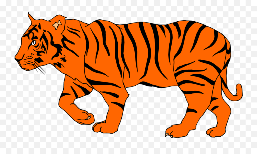 White Tiger Clipart Depauw - Tiger Clipart Png,White Tiger Png