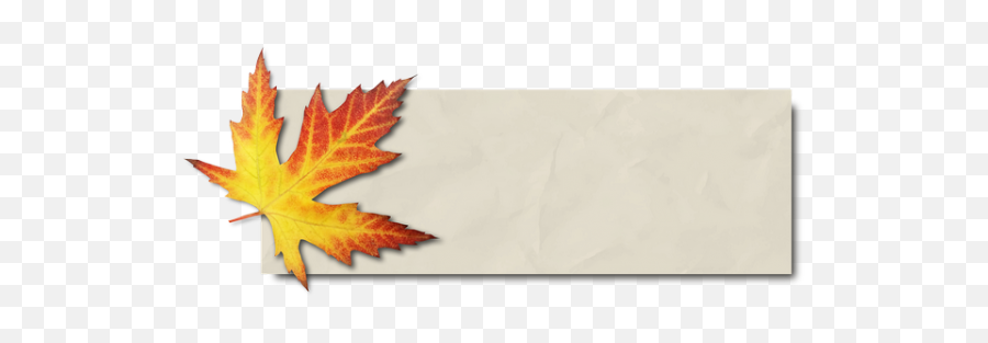 Banner Autumn Leaf Maple Transparent Png Images U2013 Free - Autumn Paper Png,Maple Leaf Transparent