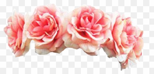 Black Flower Crown Transpa Flowers - Pink Flower Crown Png,Transparent Black Flower Crown