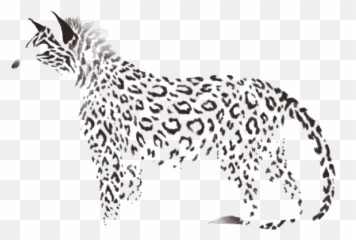 Lion Page Lioden - Dot png