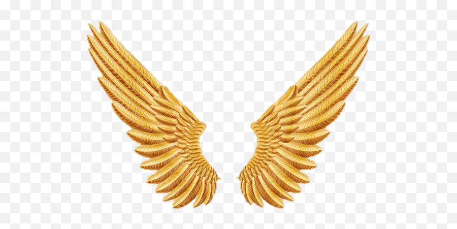 Gold Angel Wings Png - Golden Angel Wings Png,Gold Wings Png