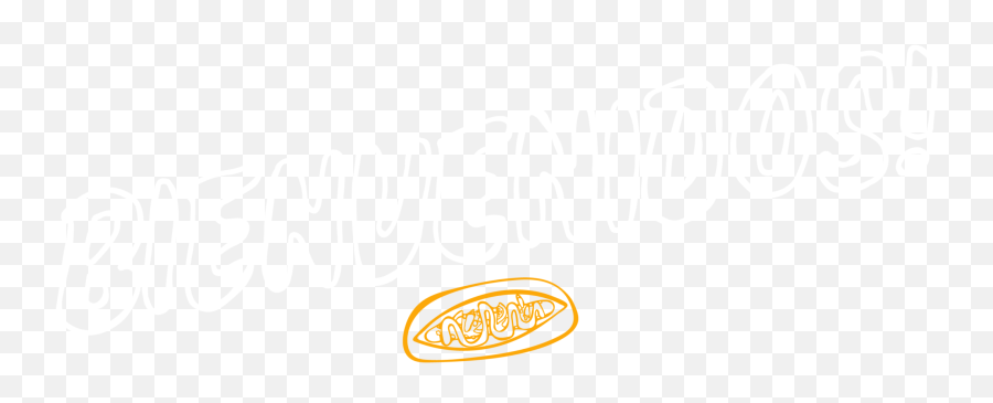 The Invicto Authentic Mexican Street Food In Naperville - Calligraphy Png,Fritos Logo