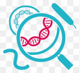 Metagenome Sequencing Services Macrogen Europe - Dot png