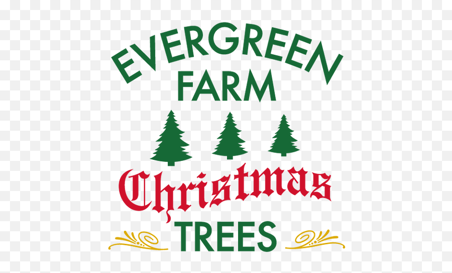 Evergreen Farm Sterling Ma Cut - Yourown Christmas Trees Language Png,Evergreen Tree Icon