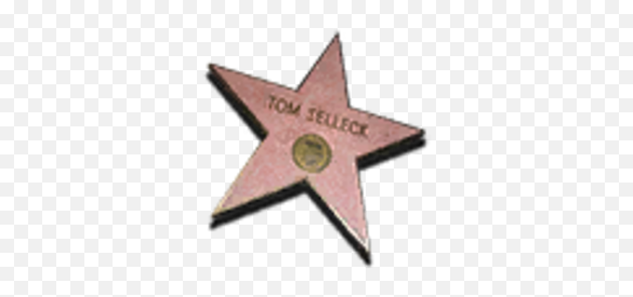 Walk Of Fame Star - Official Wasteland 3 Wiki Girly Png,Hall Of Fame Icon