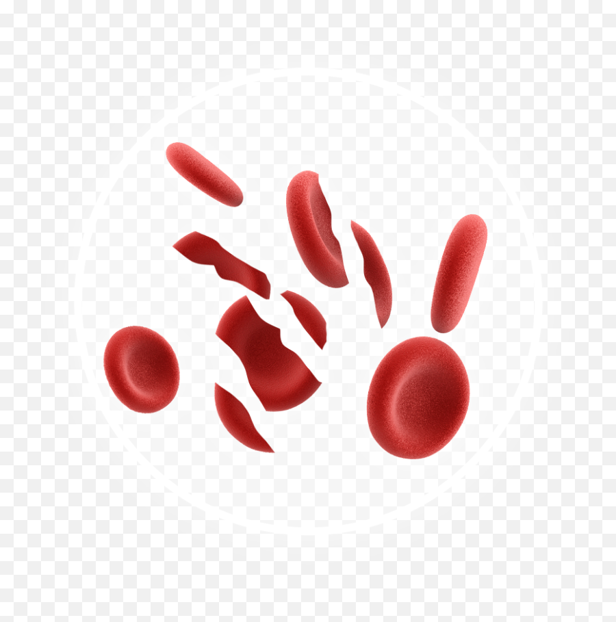 Amgen Oncology Pipeline - Dot Png,Blood Cell Icon