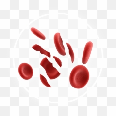 Amgen Oncology Pipeline - Dot png