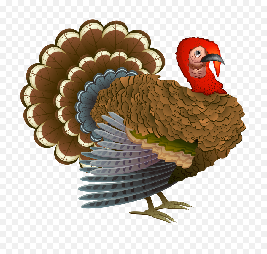 Clipart Free - Thanksgiving Cornucopia Png,Turkey Clipart Transparent Background