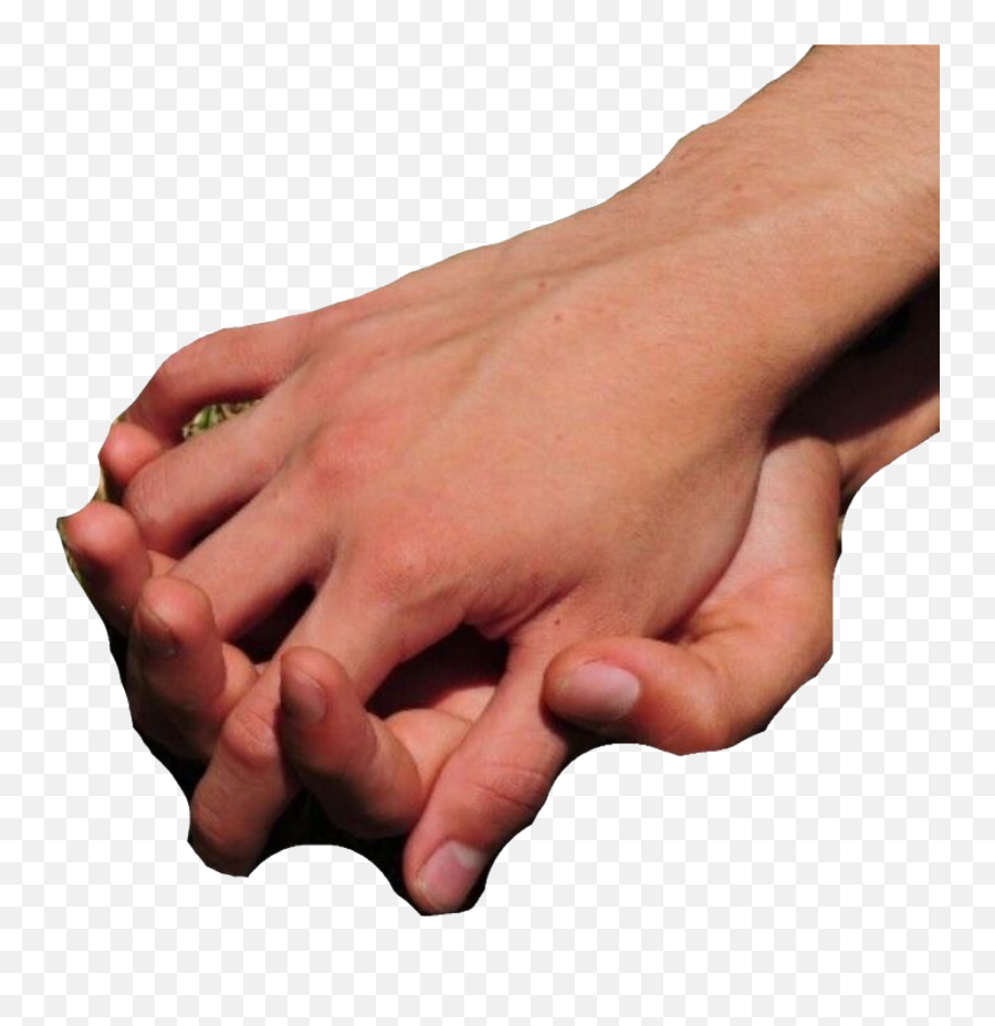 Png Body Parts - Body Parts Overlays Mood Boards Art Holding Hands Png Aesthetic,Scrunchie Png