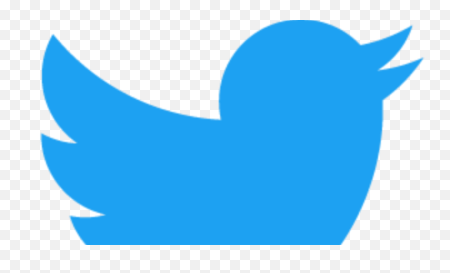 Twitter Suspends Account That - Individual Social Media Logos Png,Social Media Logo Transparent