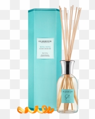Bora - Cilantro And Orange Zest 250ml Diffuser Glasshouse Png,Cilantro Png