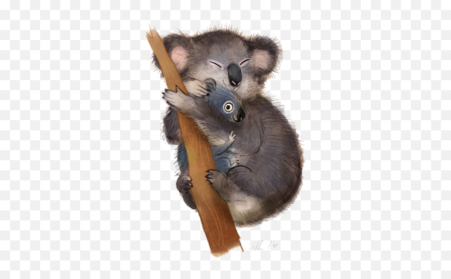 Download Poster Koala Illustration Free Transparent Image Hq - Wiebke Rauers Illustration Png,Koala Transparent