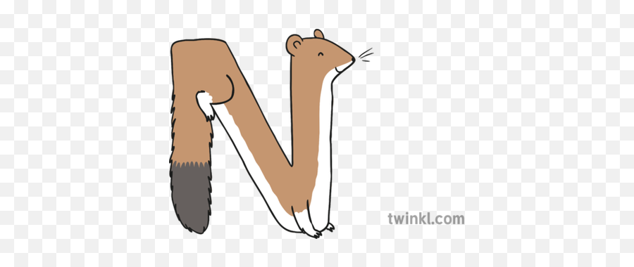 Letter N Weasel Romanian Alphabet Animals Copy Illustration - Romanian Weasel Png,Weasel Png