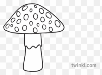 Toadstool Mushroom Fungus Plant Ks1 - Chickpeas Black And White Png,Toadstool Png
