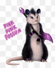 Possum Punk Transparent Png - Possum Png,Possum Transparent