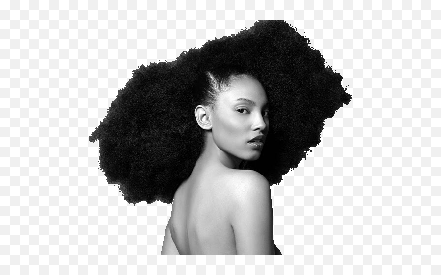 Afro - Textured Hair Hairstyle Natural Hair Movement Hair Black People With Beautiful Hair Png,Afro Transparent