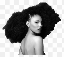 Afro - Textured Hair Hairstyle Natural Hair Movement Hair Black People With Beautiful Hair Png,Afro Transparent