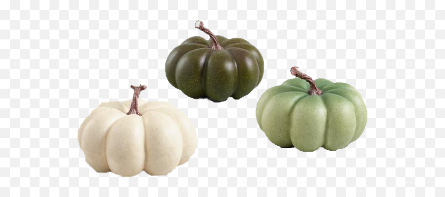 Download Medium Ivory And Green Faux Heiloom Pumpkins Set Of - Gourd Png,Pumpkins Transparent