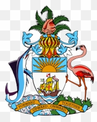 Bahamas Govt Responds To Unrest In Venezuela U2013 Eyewitness News - Bahamas Ministry Of Foreign Affairs Png,Venezuela Png