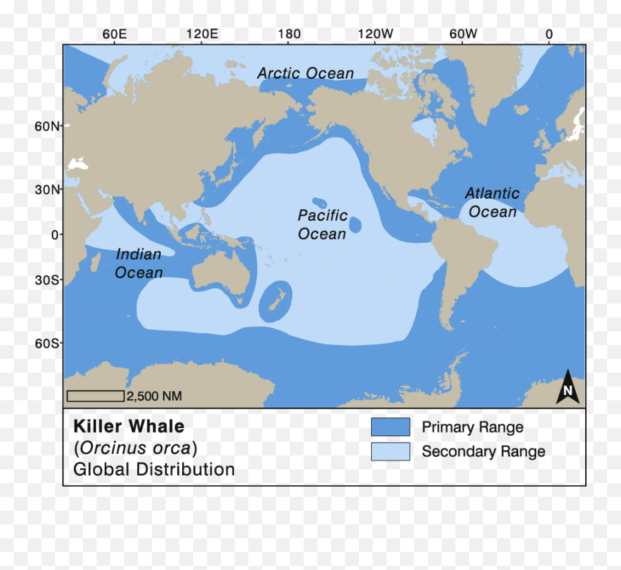 Killer Whale Watching Handbook - Blue Whale Distribution Map Png,Killer Whale Png