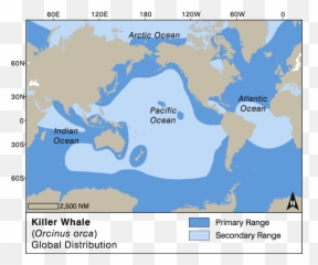 Killer Whale Watching Handbook - Blue Distribution Map png