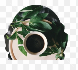 Tea Leaf Reading Chicago Psychic Illinois Future - Coffee png