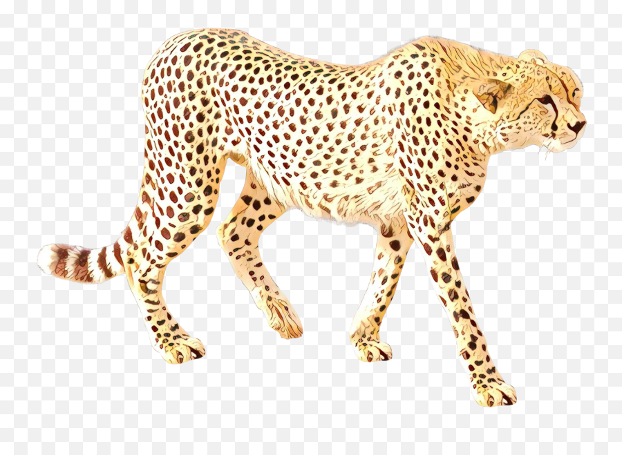 Cheetah Clipart Transparent Background - Gepard Kreslená Png,Transparent Animals