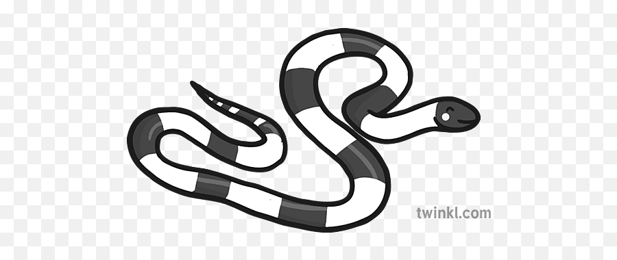 Sea Coral Snake Black And White Illustration - Twinkl Coral Snake Clipart Black And White Png,Sea Serpent Icon