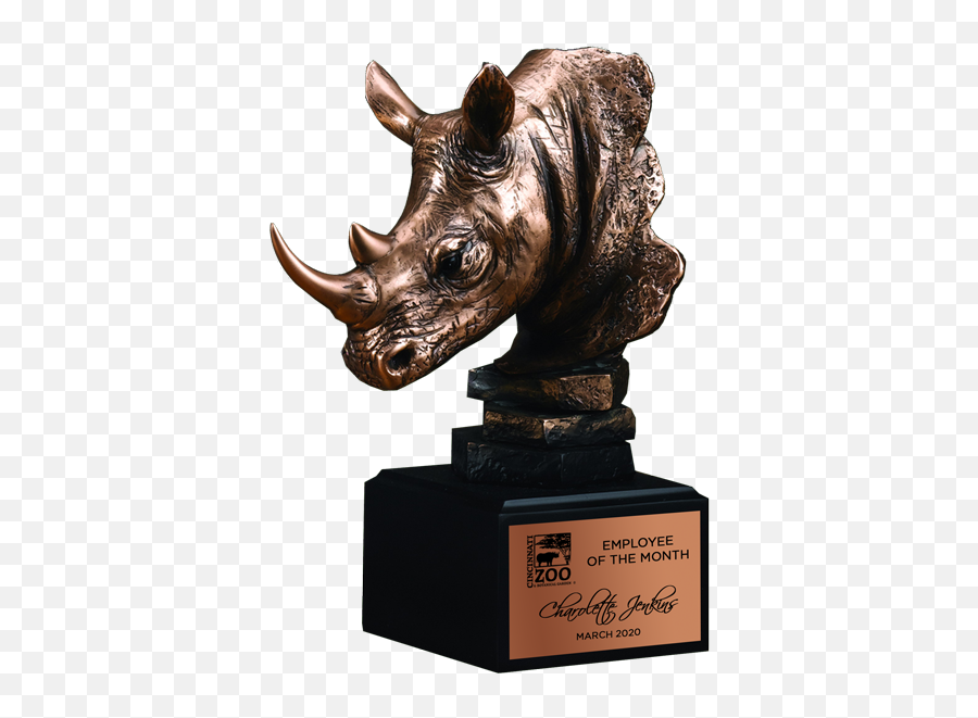 Bronze Rhinoceros Head Trophy Paradise Awards - Rhino Bust Png,Rhino Icon