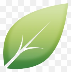 Hair Quiz Shiny Leaf Personalized Care Routine - Vertical png