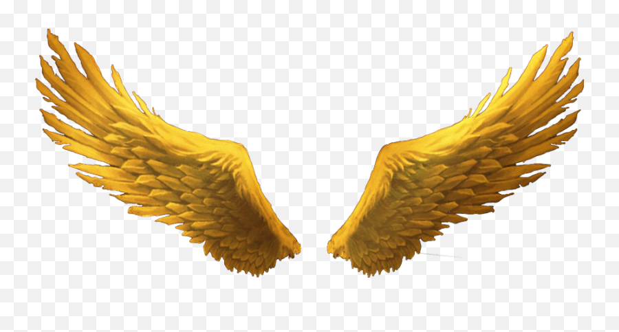 Gold Wings Wimg S Hi Transparent Background Gold Angel Wings Png Gold Wings Png Free Transparent Png Images Pngaaa Com - how to get gold dust wings roblox