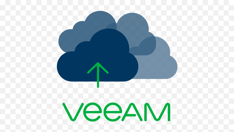 Icon - Home Veeam Csp Platinum Partner Png,Wan Icon