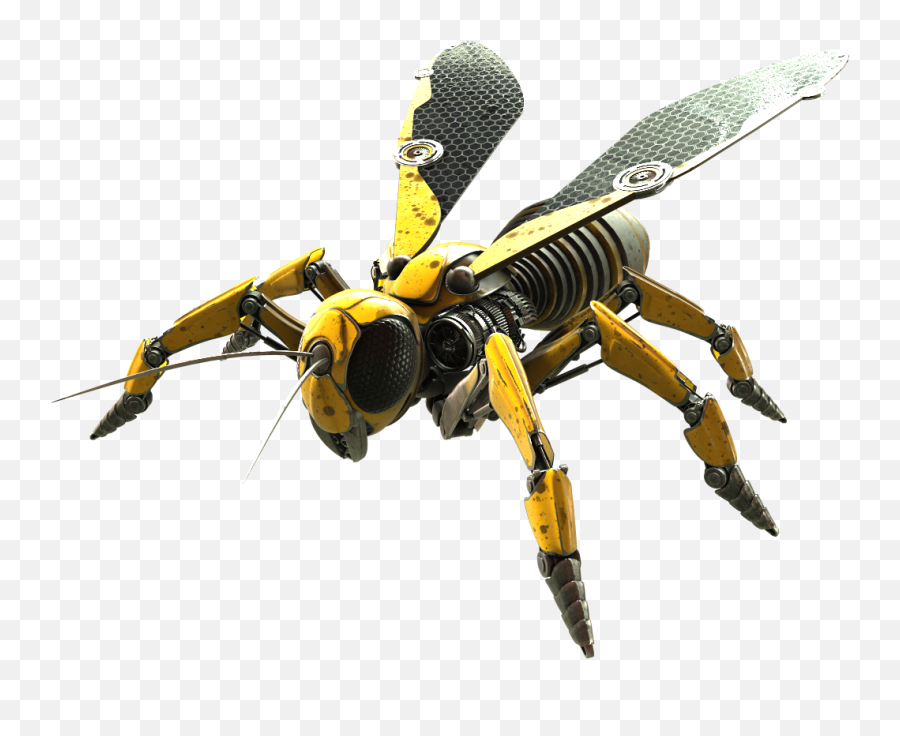 Download Wasp Png Photo - Png Robot Insect,Wasp Png