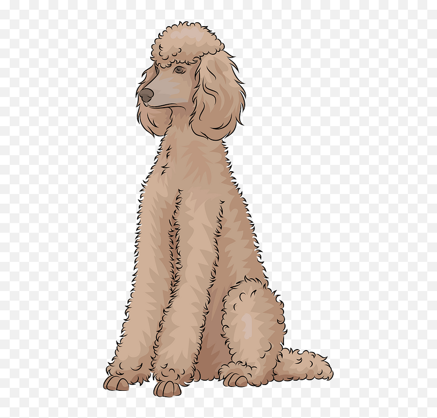 Poodle Clipart Free Download Transparent Png Creazilla Icon