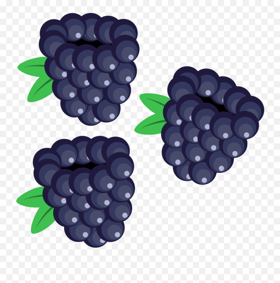 Blackberry Fruit Transparent U0026 Png Clipart Free Download - Ywd Transparent Blackberry Clipart,Blackberry Png