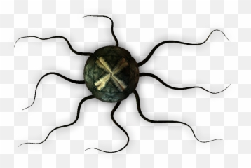 Tentacles Png - Root Tree