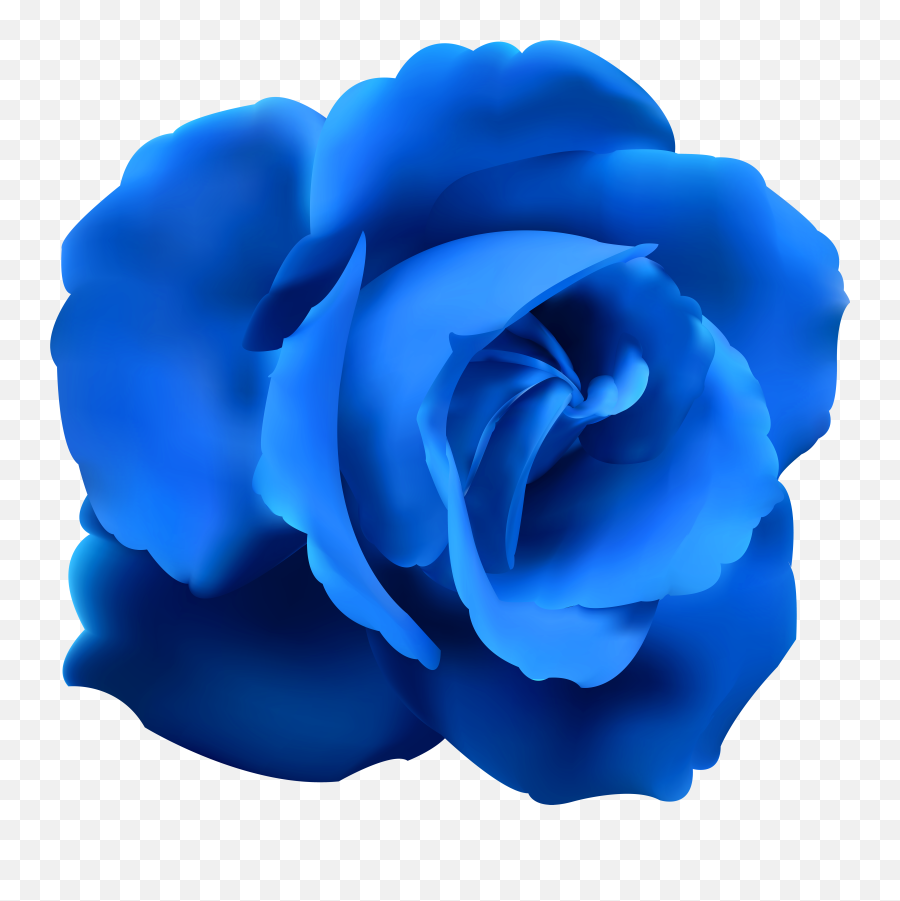 Rose Clipart Blue Pictures - Blue Rose Png Transparent,Rose Clipart Transparent