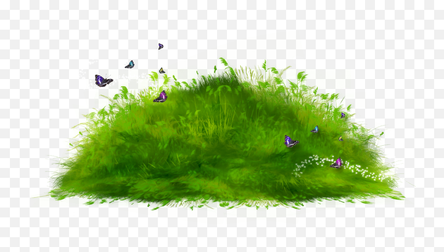 Hd Popsicle Png Transparent Image - Grass Path Clipart Transparent,Popsicle Png